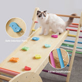 Safe Indoor Climbing Gym for Kids