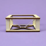 Glass display case with wooden frame on a purple background DIY kids hologram kit