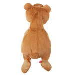 Expressive Teddy Bear for emotional development
