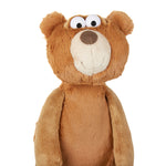 Teddy Bear for Emotional Development