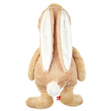 Bunny feelings toys
