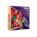 OKTO Sensory Art 3D Woodcraft “Passion” – Succulent Craft Kit