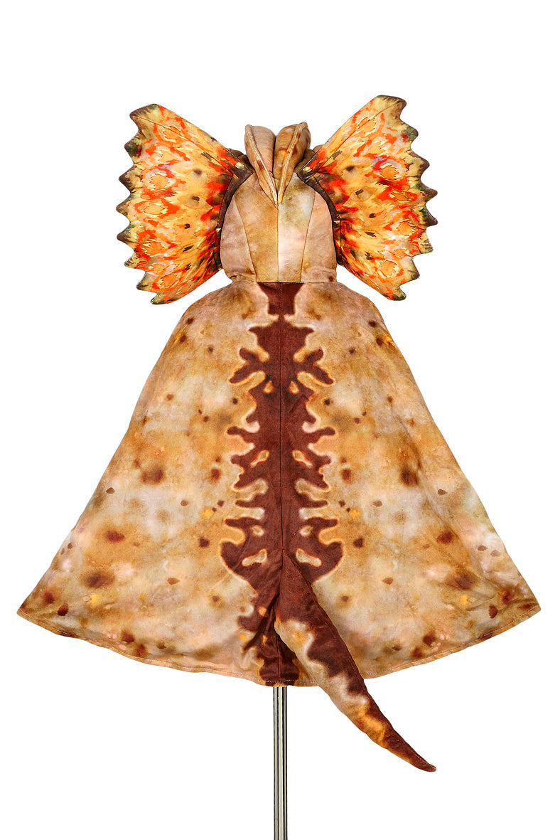Slide image