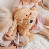 Charlie The Weighted Puppy Dog