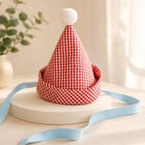Gingham Party Hat