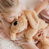 Charlie The Weighted Puppy Dog