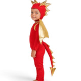 Red Dragon Costume