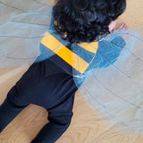 Bumble Bee Wings