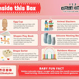 Montessori Educational Box (9-10 Months)