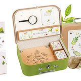 Suitcase - The Botanist - Recreational Activity