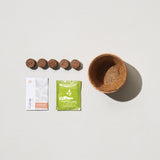 Tiny Terracotta Holiday Kits
