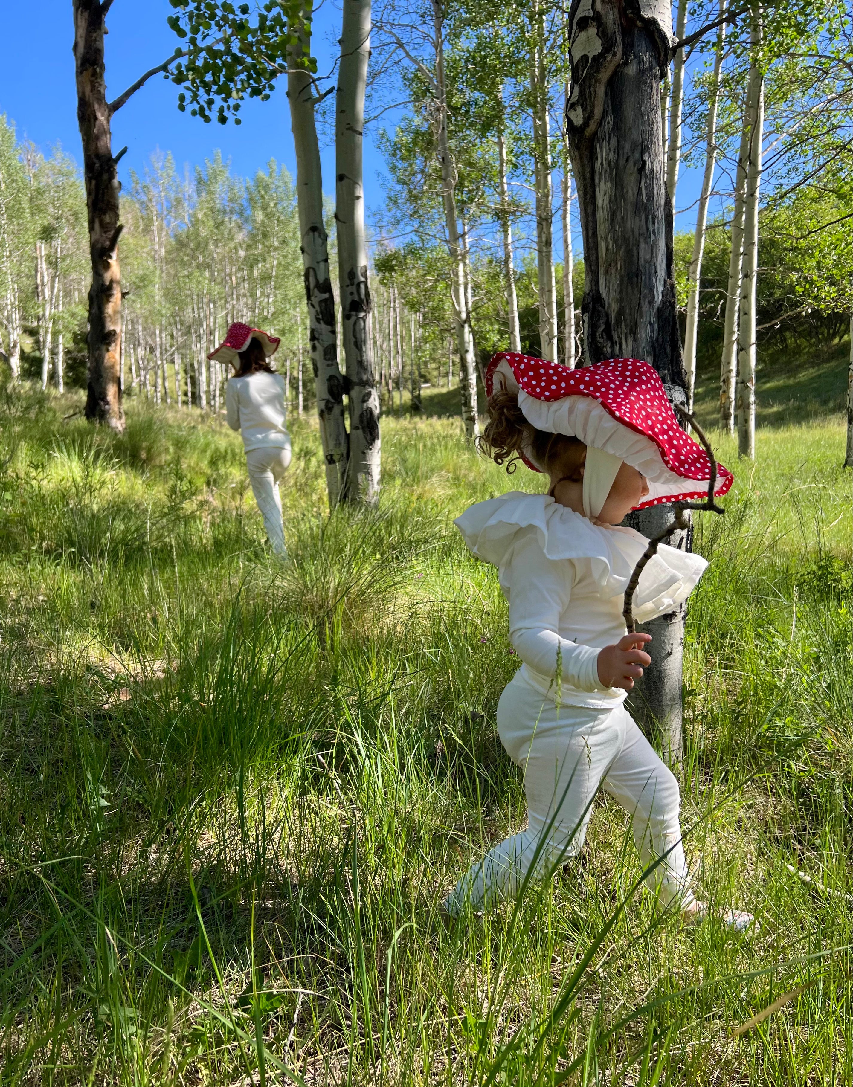 Slide image