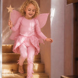 Pink fairy wings