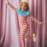 Harlequin Clown Costume