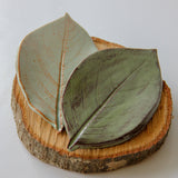 Large Leaf Dish
