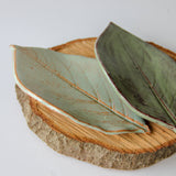 Large Leaf Dish