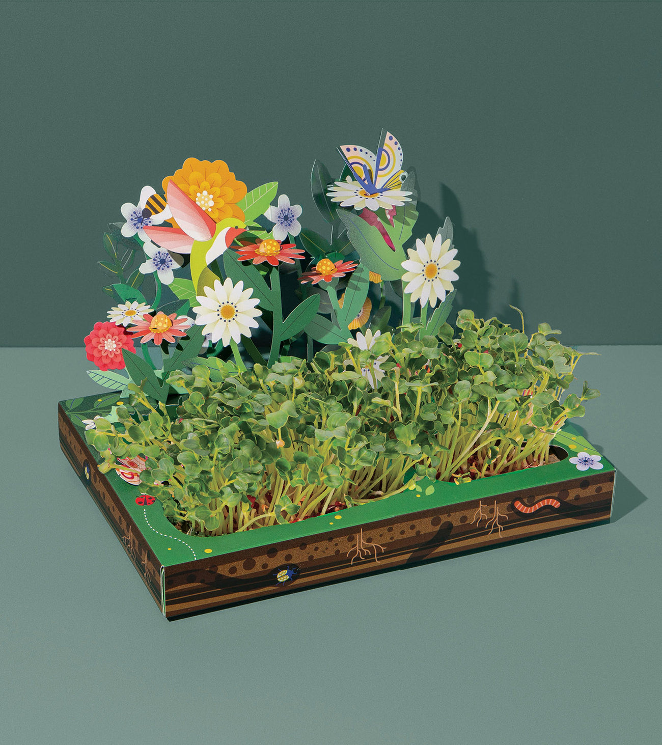 Slide image