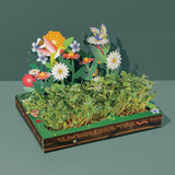 Microgreens Pop-Up Kit for Kids