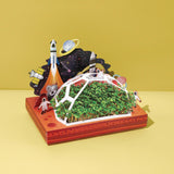Microgreens Pop-Up Kit for Kids