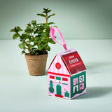 Festive Home Grown Ornament Kit