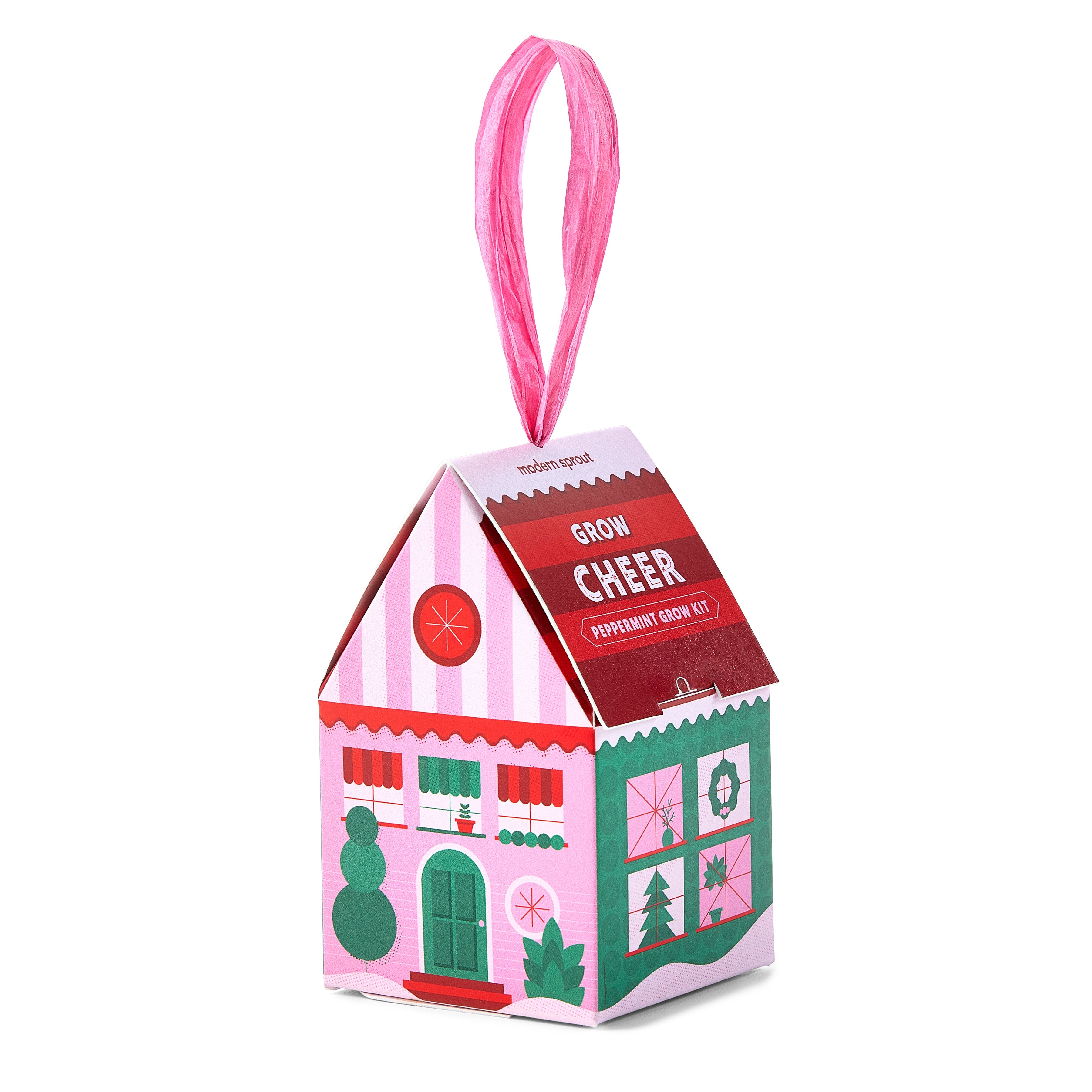 Festive Home Grown Ornament Kit