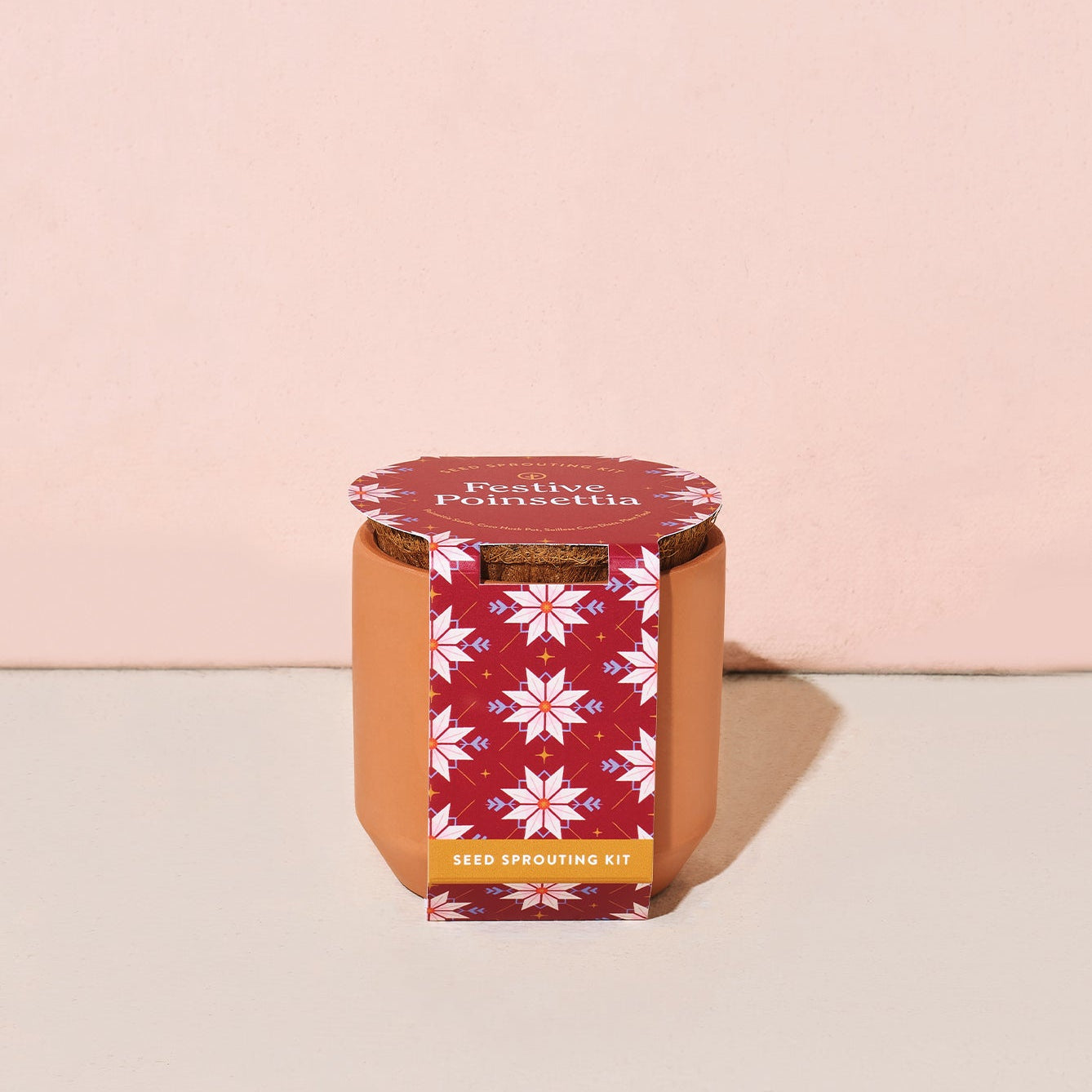 Tiny Terracotta Holiday Kits