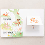 My Beautiful Earth: Simplified Chinese-English