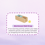 Montessori Educational Box (11-12 months)