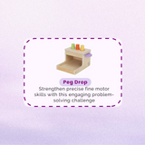 Montessori Educational Box (11-12 months)