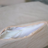 Rectangle Pillow Pack