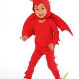 Red Dragon Costume