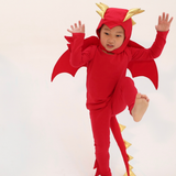 Red Dragon Costume