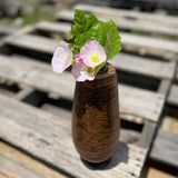 Walnut Wooden Vase with Bronze Base