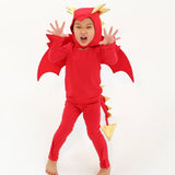 Red Dragon Costume