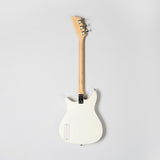 beatles + loog electric guitar (collective)